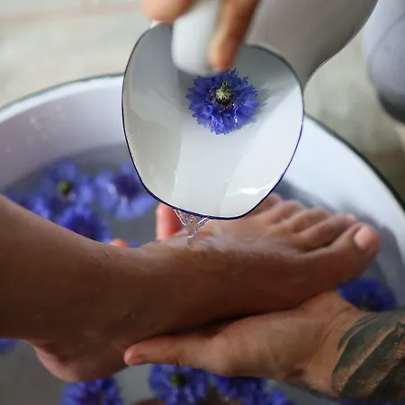 وسبا إستونيا 4*